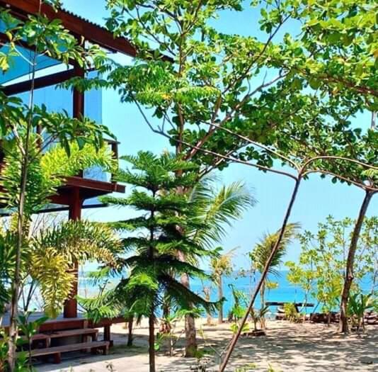 Castaway Surf Retreat 1 Inn